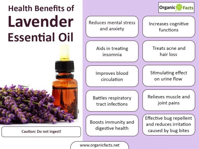 Lavender Essential Oil Benefits Uses Side Effects Organic Facts