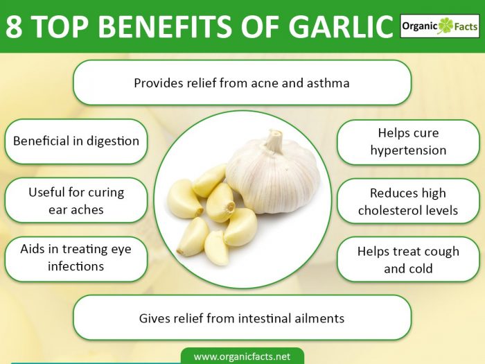 13 Interesting Benefits Of Garlic Organic Facts