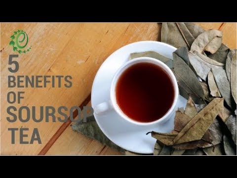 Soursop Tea Benefits How To Make Side Effects Organic Facts