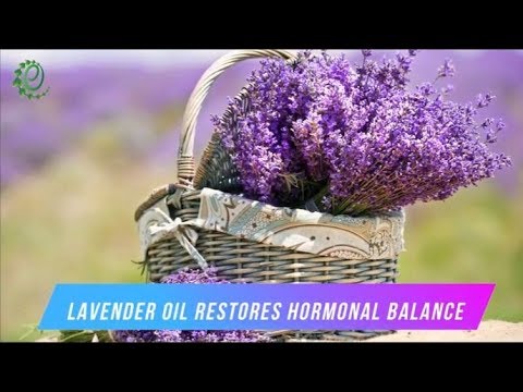 Lavender Oil Benefits, Uses & Side Effects