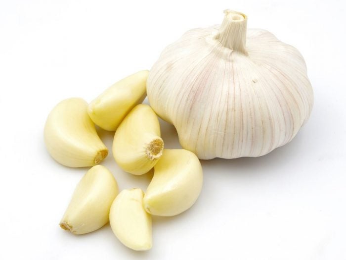 TOEFL Listening Practice – Scientific American – Garlic Compound