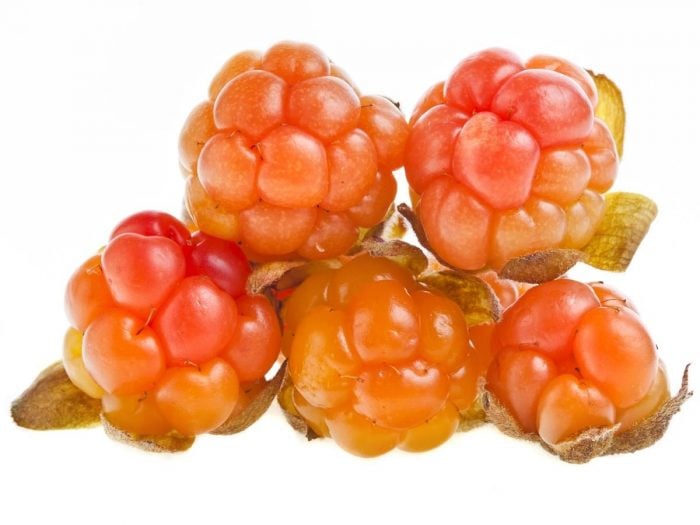 health-benefits-of-cloudberry-organic-facts