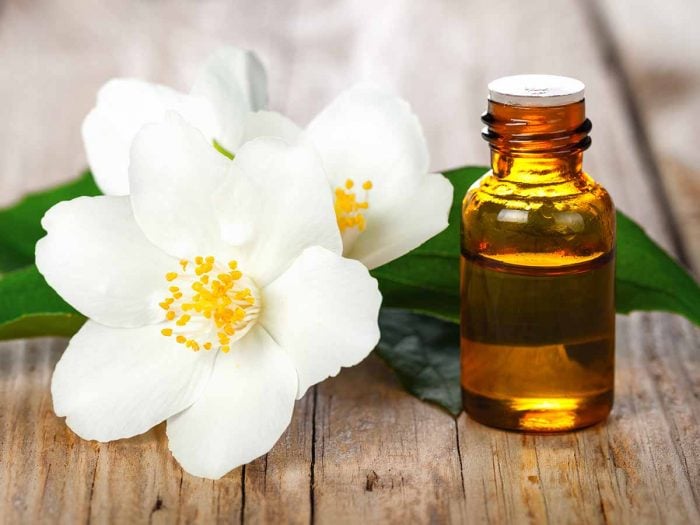 13 Top Benefits & Uses of Jasmine Essential Oil