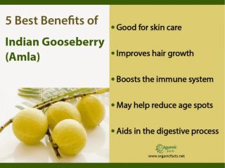 12 Benefits Of Eating Indian Gooseberry Or Amla | Organic Facts