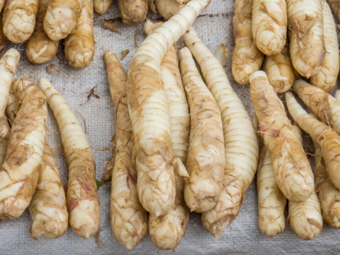 Arrowroot: Health Benefits, Uses And More- HealthifyMe