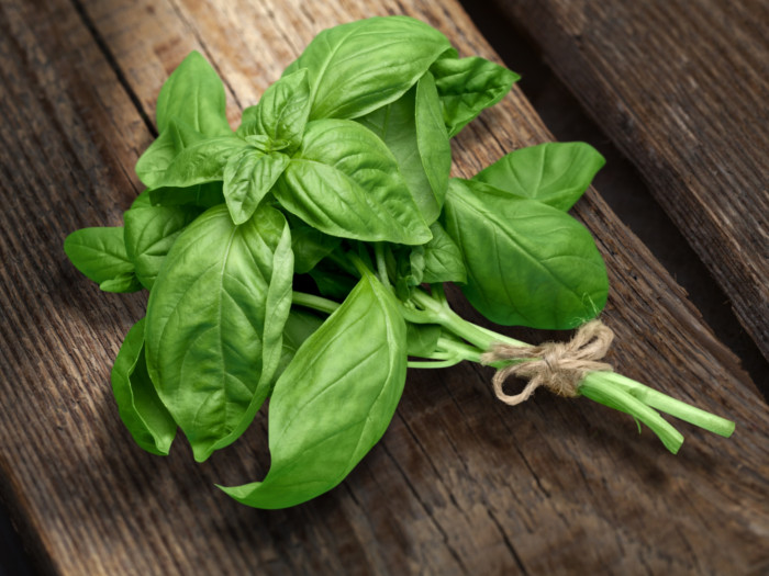 12 Incredible Health Benefits of Basil Organic Facts