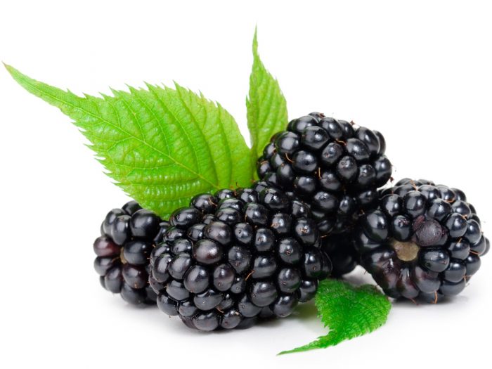 10 Amazing Benefits of Black Currant Oil | Organic Facts