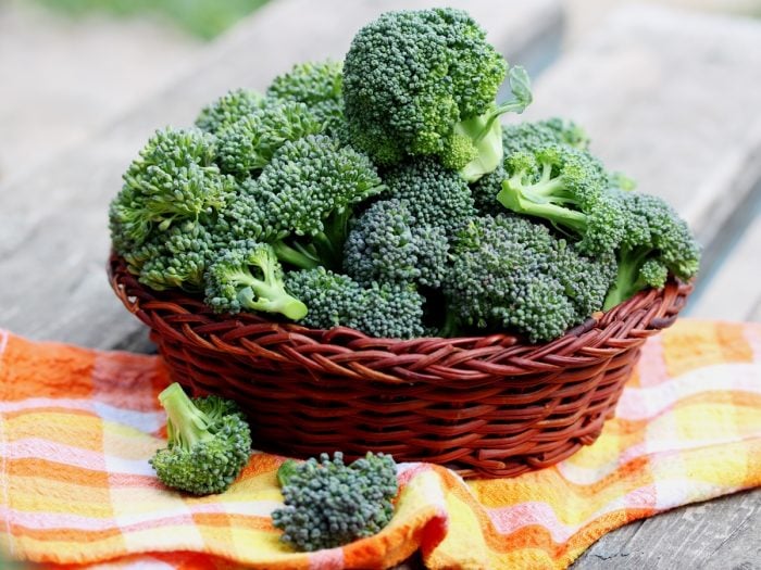 9 Broccoli Sprout Benefits For Women 1 Food For Estrogen Dominance9  Broccoli Sprout Benefits For Women 1 Food For Estrogen Dominance9  Broccoli Sprout Benefits For Women 1 Food For Estrogen Dominance  Happy  Mammoth AU