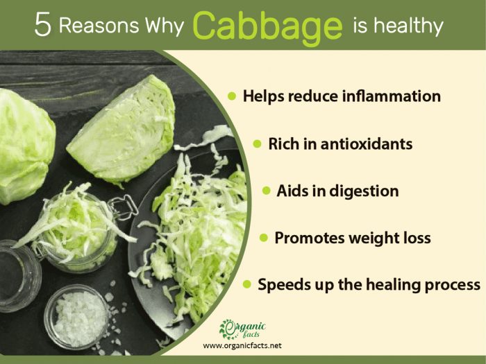 Health benefits of cabbage infographic