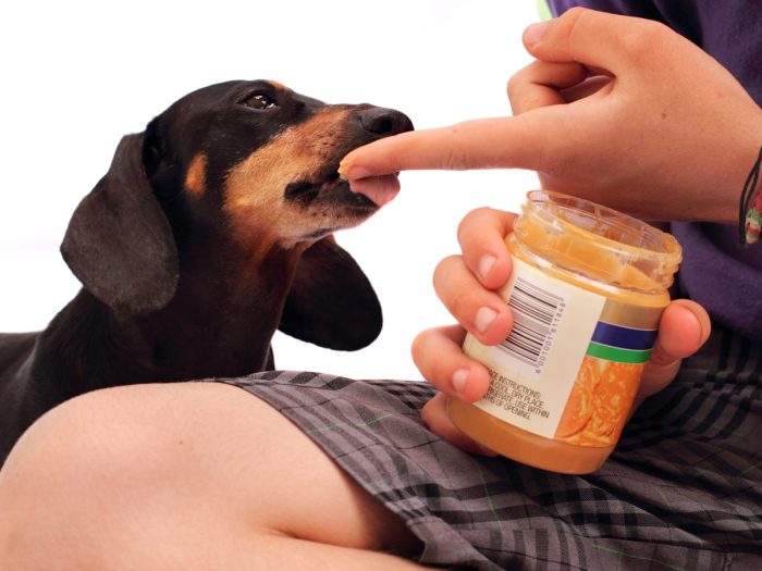 Butter dog. Better Dogs. Peanut Dog. Butter Dog image.