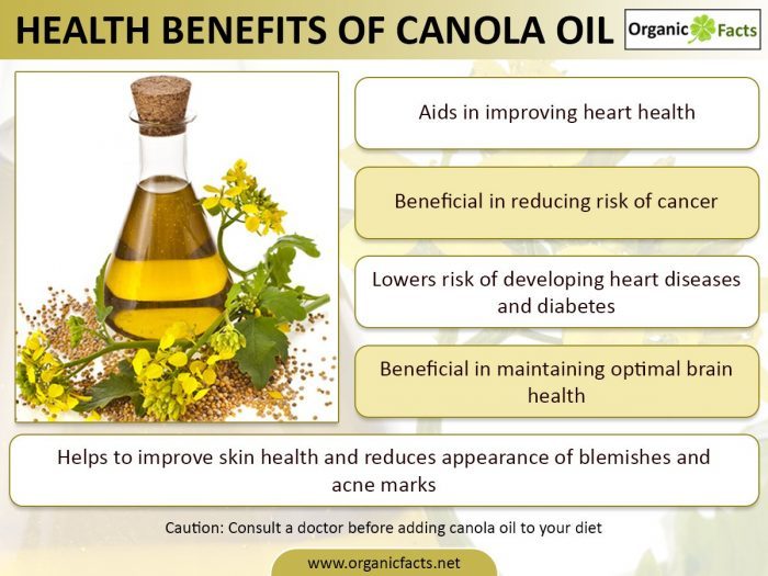 9 Incredible Canola Oil Benefits Qatar