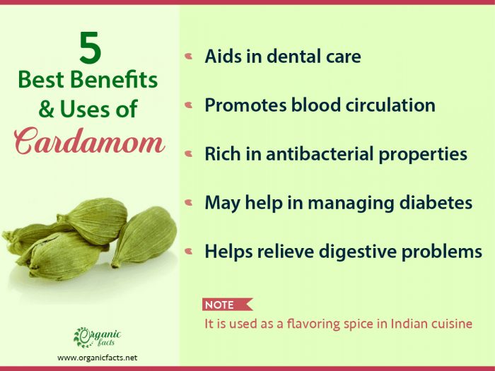 11 EvidenceBased Benefits of Cardamom Organic Facts