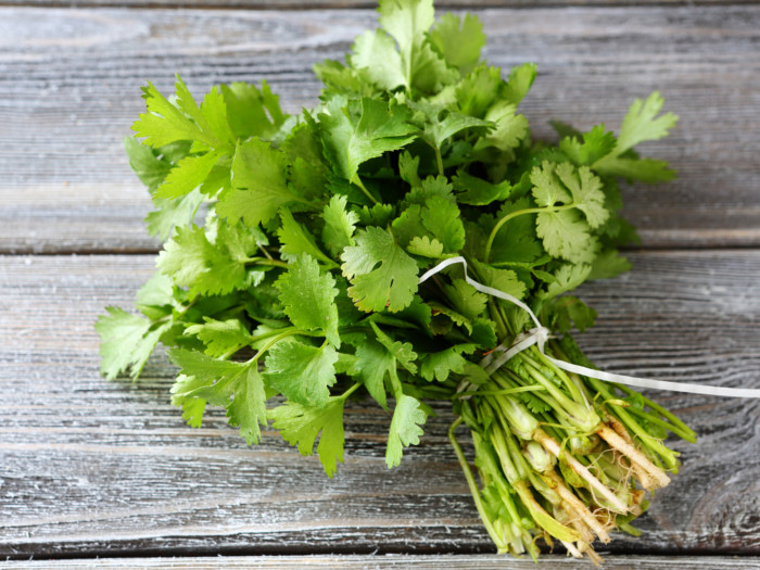 How to Store Cilantro | Organic Facts