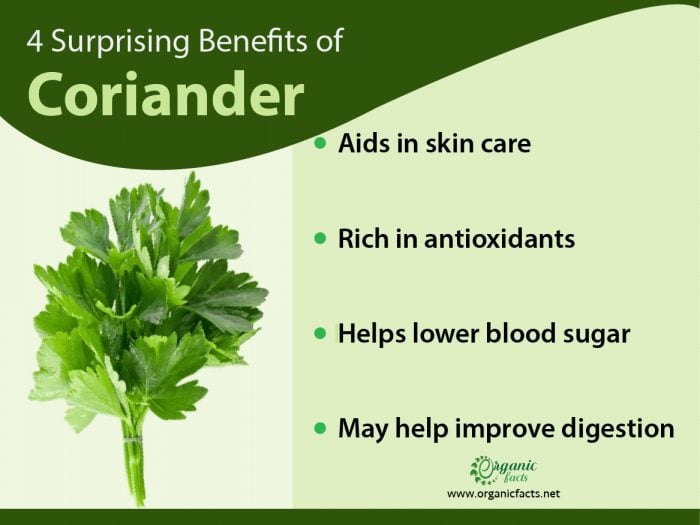 11 Surprising Health Benefits of Coriander Organic Facts