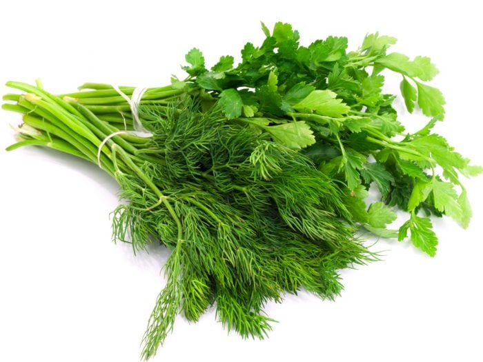 5 Amazing Coriander Substitutes Organic Facts