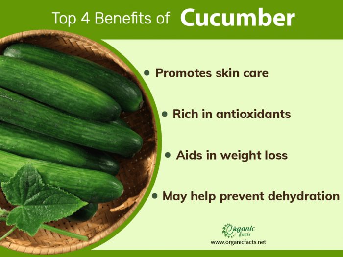 Cucumbers Nutrition, Health Benefits, & Recipes Organic Facts