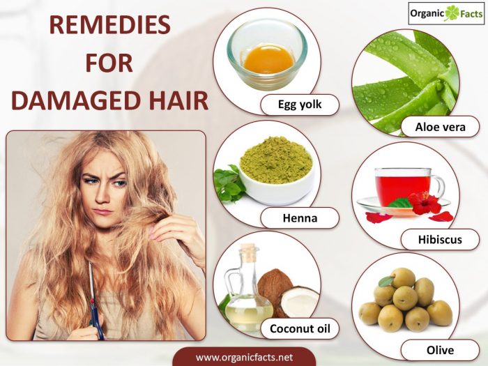 10 Surprising Home Remedies for Damaged Hair | Organic Facts
