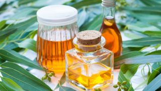 Eucalyptus leaves with 3 bottles of eucalyptus oil