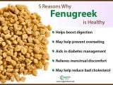 8 Amazing Benefits & Uses of Fenugreek | Organic Facts