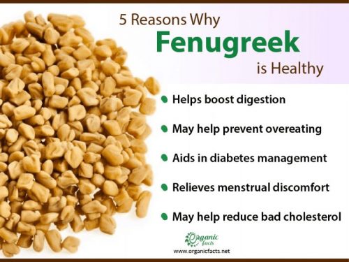 8 Amazing Benefits And Uses Of Fenugreek Organic Facts 3902