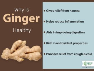 Top 15 Proven Benefits of Ginger | Organic Facts