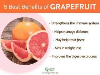 grapefruit good for you