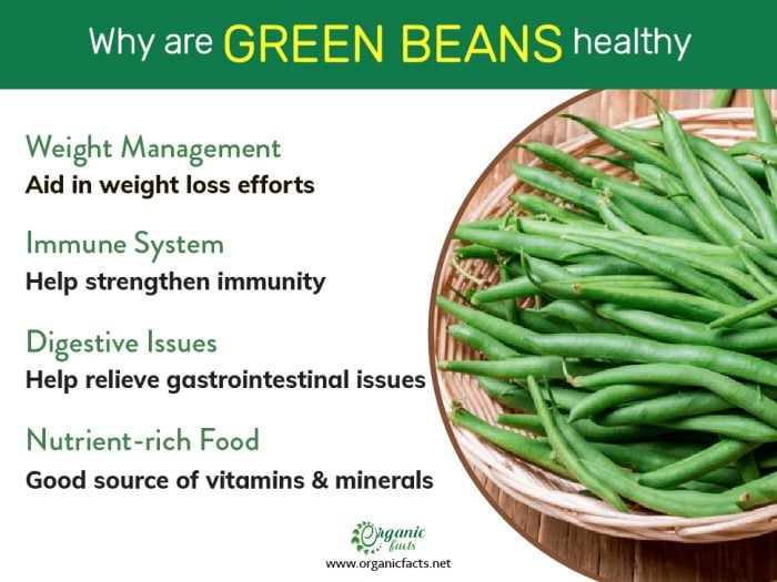 5 Sciencebased Health Benefits of Green Beans NUTRITION LINE