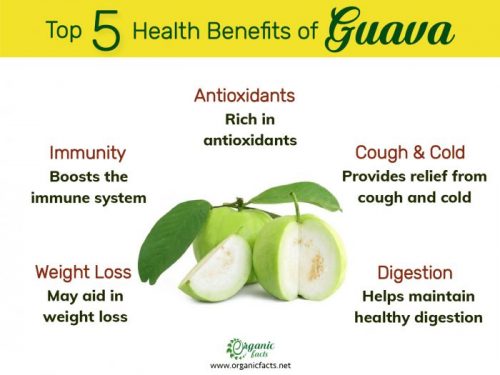 Guava: Health Benefits, Nutrition, & Uses | Organic Facts