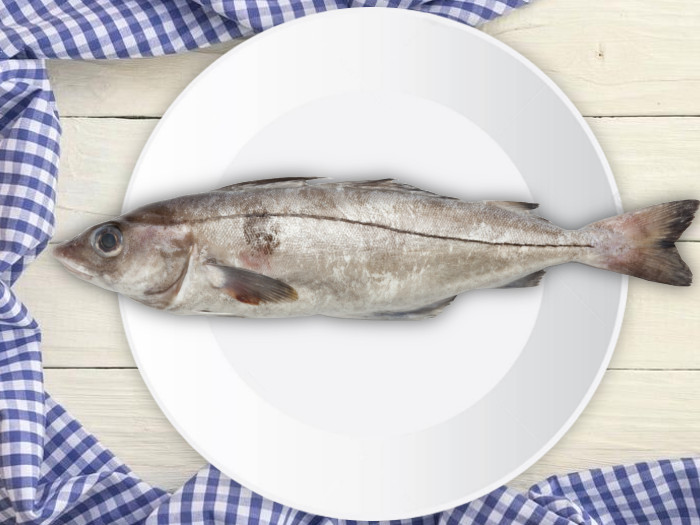 14 Best Benefits of Haddock Organic Facts