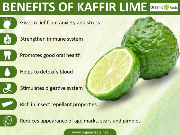 9 Surprising Benefits of Kaffir Lime Organic Facts