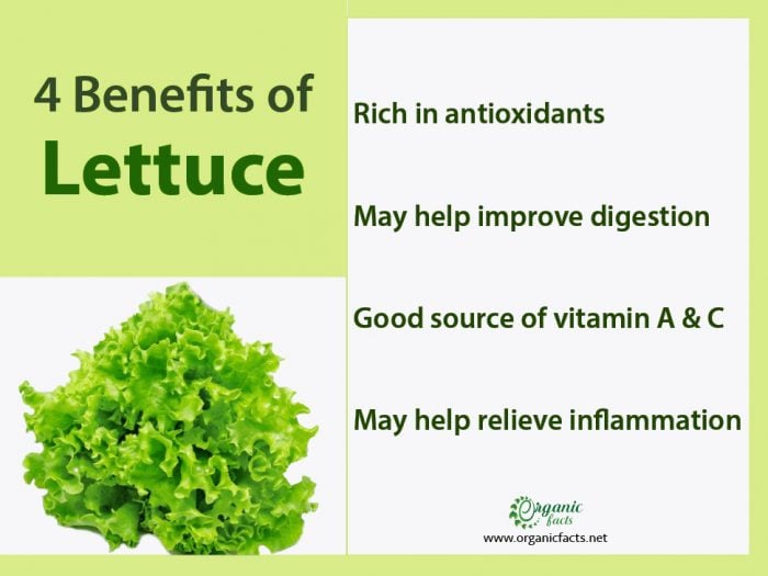 7 Impressive Benefits Of Lettuce