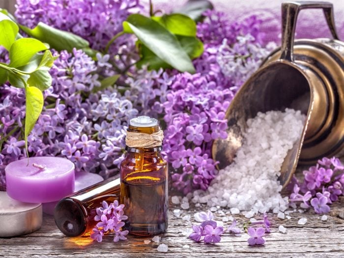 9 Amazing Lilac Essential Oil Benefits Uses Organic Facts