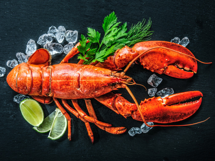 5 Surprising Benefits of Lobster Organic Facts