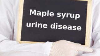maple syrup urine disease medicine