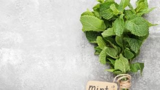 A bunch of mint leaves placed on the right hand side of the table