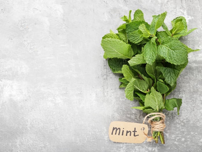13 Impressive Benefits of Mint Leaves