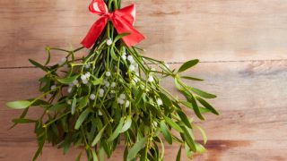 Close up of mistletoe on a wooden table