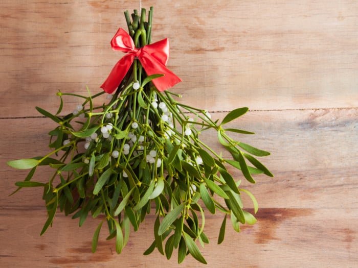 9 Amazing Benefits Of Mistletoe | Organic Facts