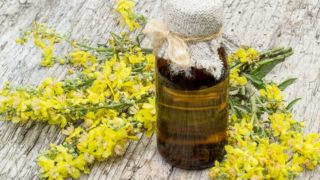 The health benefits of Oak Moss Essential Oil can be attributed to its  properties like anti septic, demulcent,…