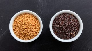 A white bowl of yellow and dark brown mustard seeds