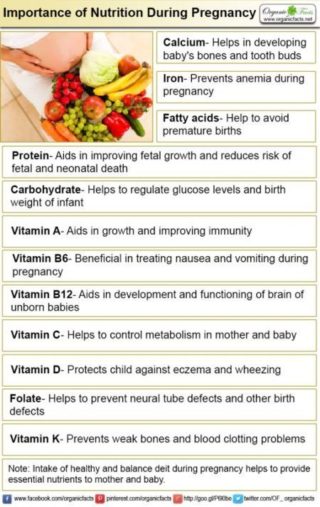 importance-of-nutrition-during-pregnancy-organic-facts