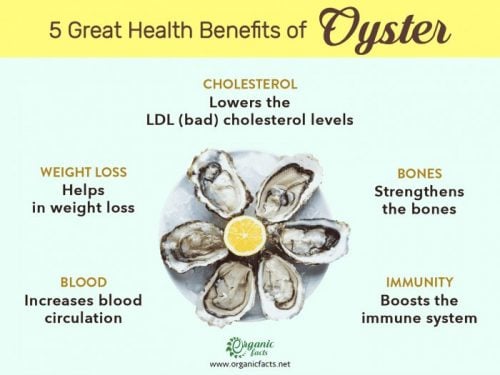 10-wonderful-benefits-of-oysters-organic-facts