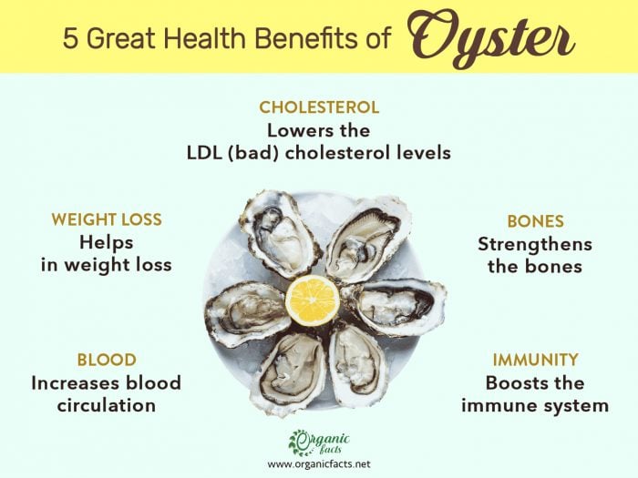 Health benefits of oysters infographic