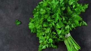A bunch of parsley on a dark background