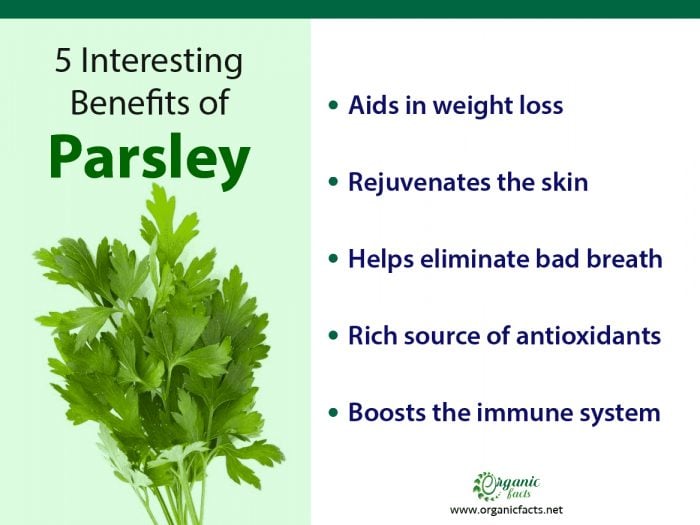 Parsley Benefits Chicken at Tanika Gross blog