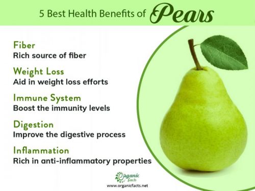 7 Powerful Health Benefits Of Pears Organic Facts 