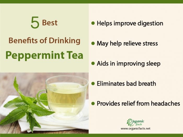 peppermint tea pregnancy