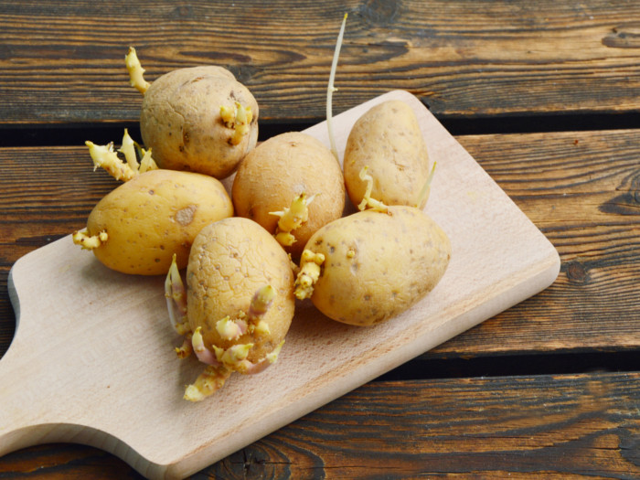 8 Ways to Control Potato Sprouts | Organic Facts