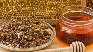 Propolis, bee honeycomb, and a jar of honey with a honey dipper