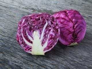 https://www.organicfacts.net/wp-content/uploads/redcabbage1-320x240.jpg